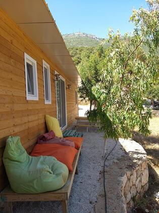 Karamel Menekis - Görsel 4