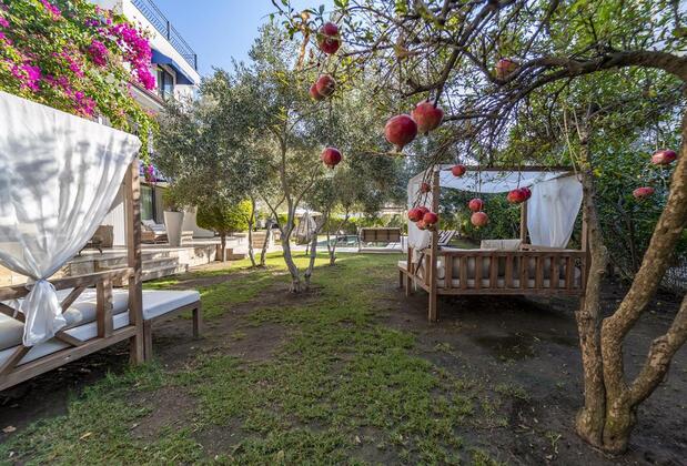 Massi Near The Sea - Görsel 9