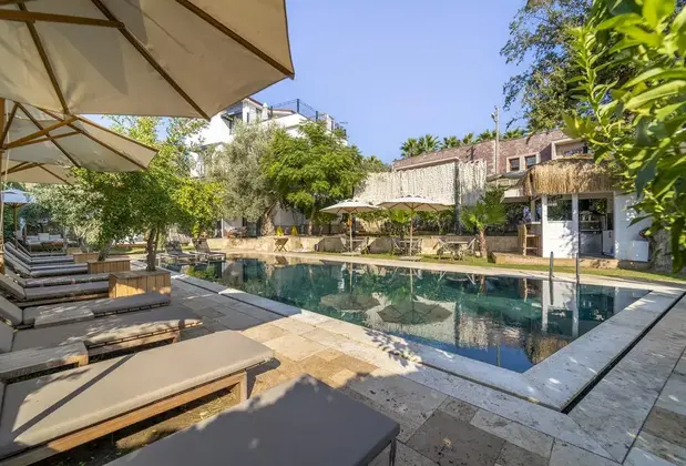 Massi Near The Sea - Görsel 12