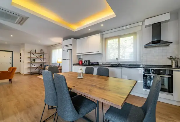 Massi Söğüt 1 - Görsel 18