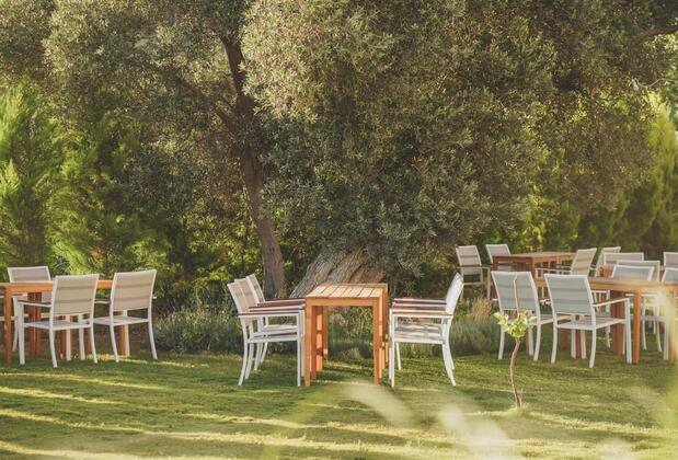 Usul Ova Çeşme - Görsel 14