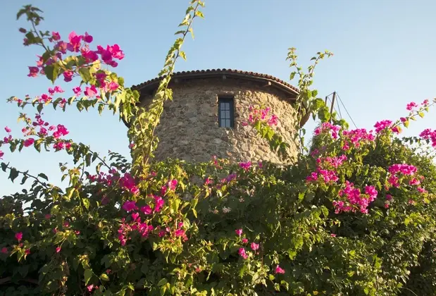 Degirmen81 - Görsel 6