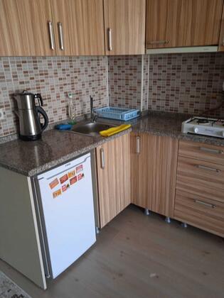 Kaktüs Suit - Görsel 7