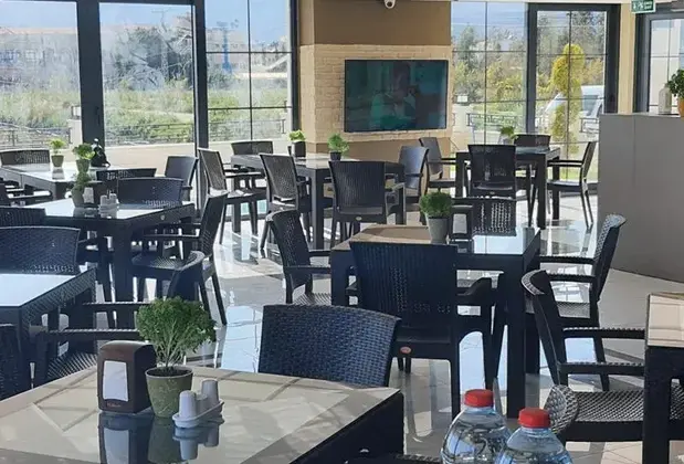 Green Life - Görsel 9