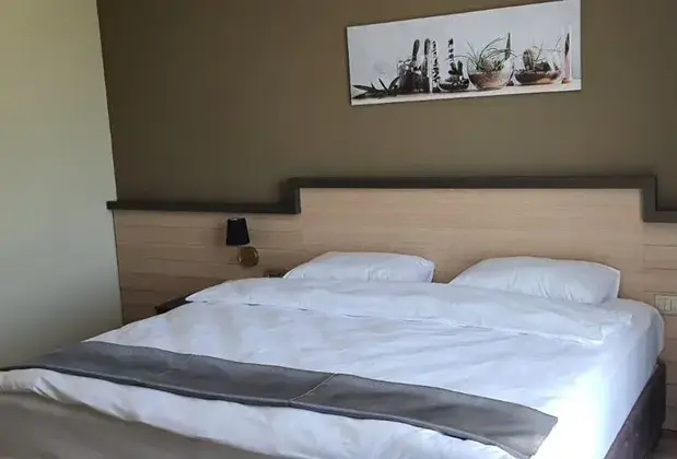 Green Life - Görsel 5