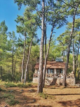 Tas Evler - Görsel 4