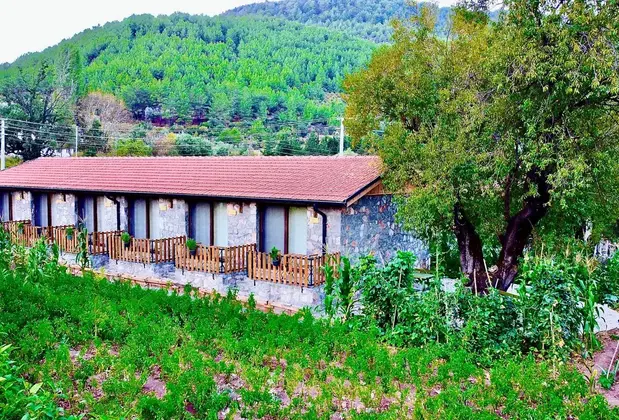 Dedehan Retreat - Görsel 4