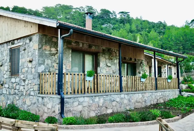 Dedehan Retreat - Görsel 6