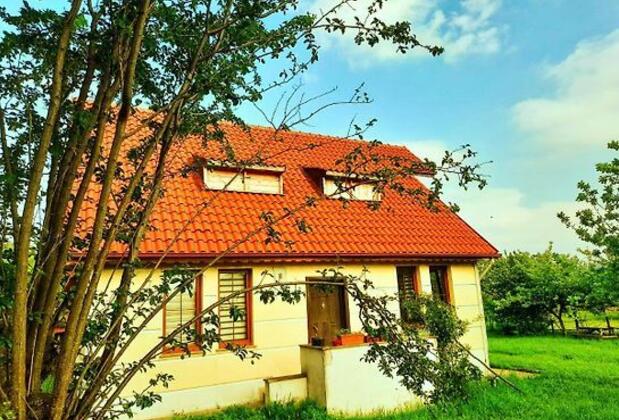 Casa Bolu - Görsel 3