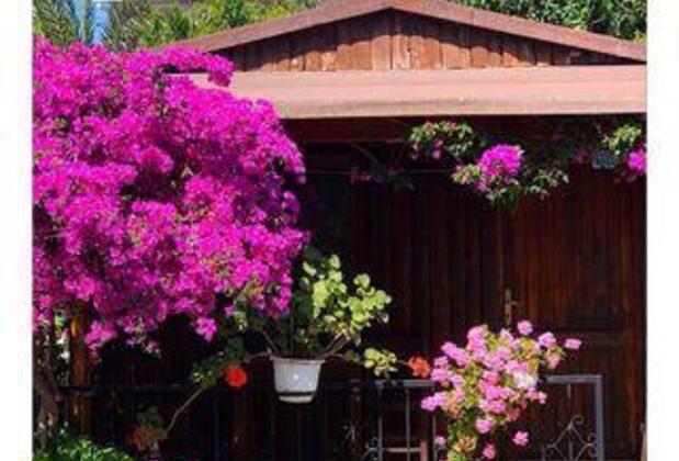 Arriba Pansiyon Restaurant - Görsel 3