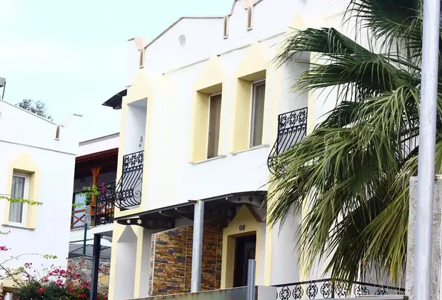 Golden Age Houses - Görsel 4