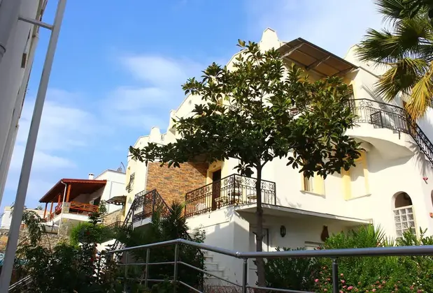 Golden Age Houses - Görsel 7