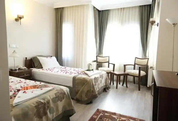 Villa Sofia Hotel - Görsel 6