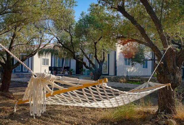 İnci Doğa Evleri - Görsel 5