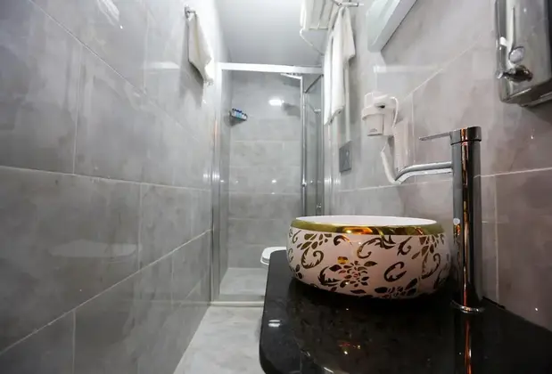 Dnz Thetaximx Hotel - Görsel 11