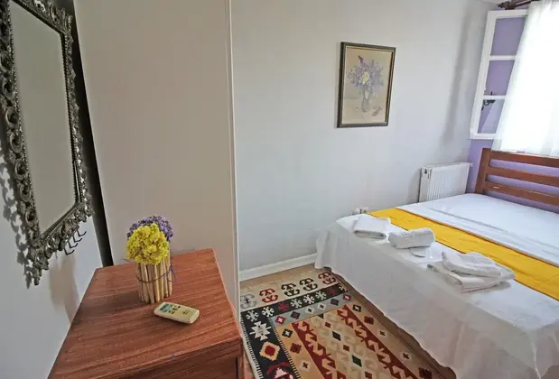 Eflatun Konuk Evi - Görsel 12
