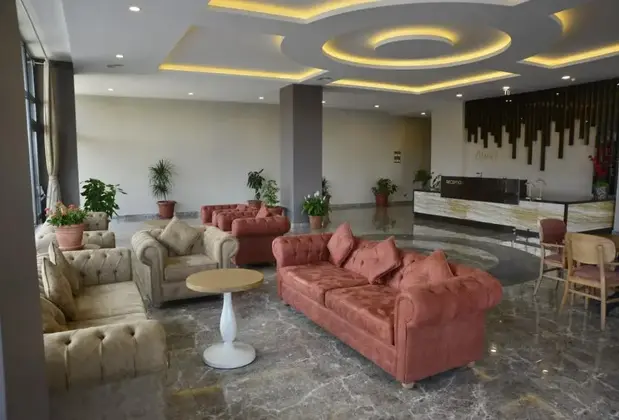 Adanis Park Termal Otel - Görsel 8