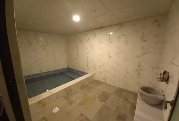 Adanis Park Termal Otel - Görsel 16