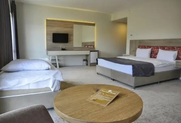 Adanis Park Termal Otel - Görsel 17