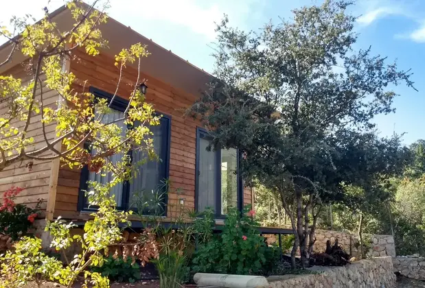 Karamel Calba Minik Ev - Görsel 12