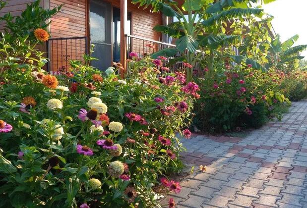 Adrasan Talya Apart Bungalov - Görsel 11