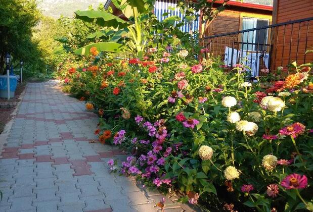 Adrasan Talya Apart Bungalov - Görsel 8