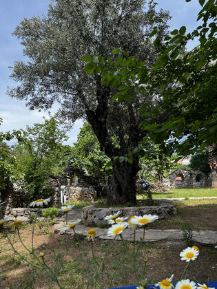 Fethiye Golden Gate Boutique Hotel - Görsel 12