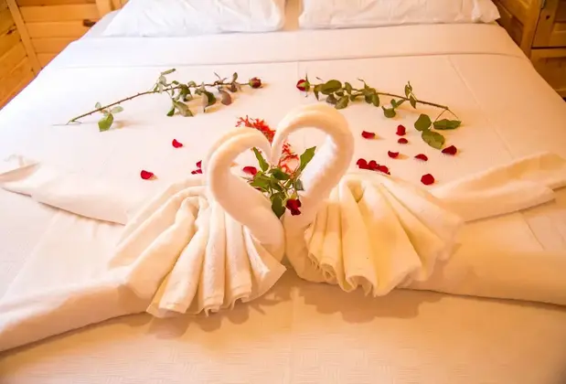 Ayaz Apart Bungalows - Görsel 5