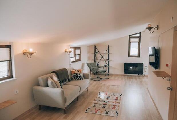 Elmalı Bahçe Sapanca - Görsel 6