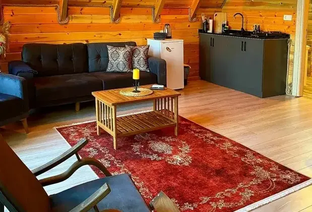 Sapanca Yeşilvadi Dağevi - Görsel 9