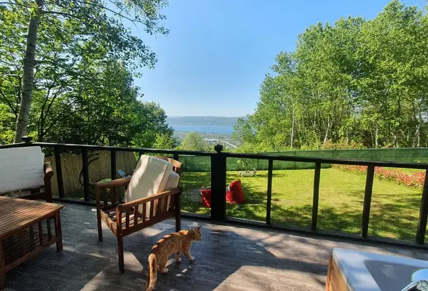 Sapanca Yeşilvadi Dağevi - Görsel 11