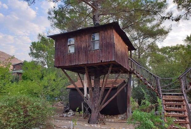 Jungle Bungalow - Görsel 5