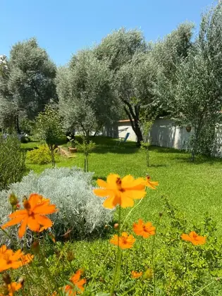 Mandarin Konukevi - Görsel 4