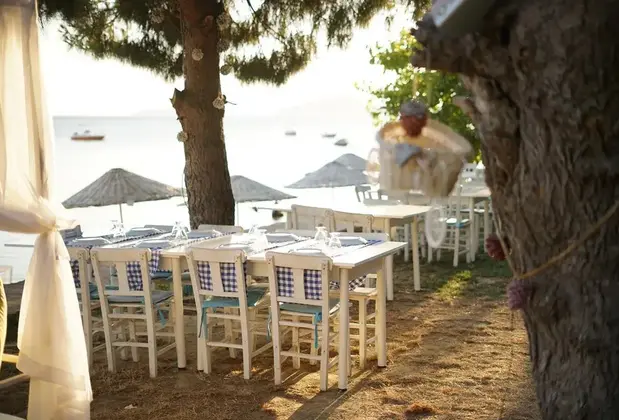 Pina Mor Luxury Bungalows - Tas Evler - Görsel 3