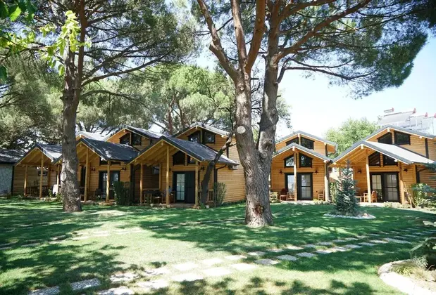 Pina Mor Luxury Bungalows - Tas Evler - Görsel 18