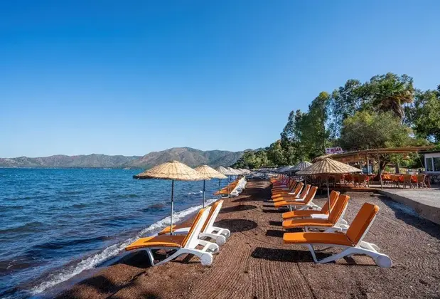 Kensington Kerdime Beach - Görsel 3