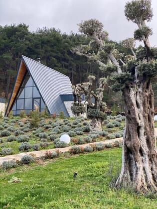 Eva Lavanda Resort Otel - Görsel 12