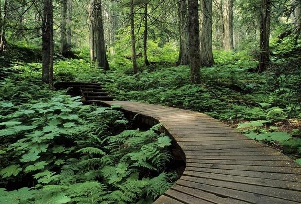 İstanbulluların Yeni Hafta sonu Kaçamağı: Kemerburgaz Kent Ormanı