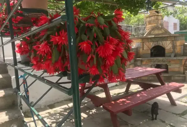 Guneyli Pansiyon - Görsel 20