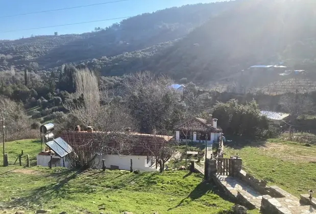 Alice Pansiyon - Görsel 17