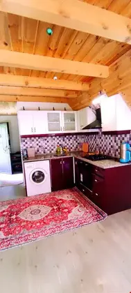 Naturel Apart Bungalow - Görsel 8