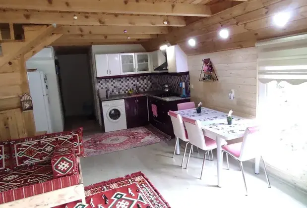 Naturel Apart Bungalow - Görsel 6