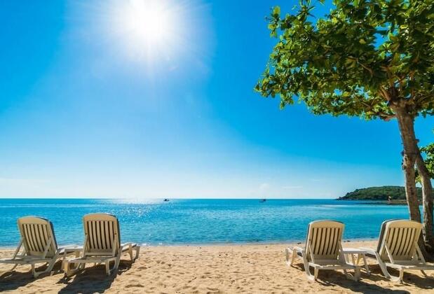 Yaz Mevsimi Hakkında Az Bilinen Gerçekler