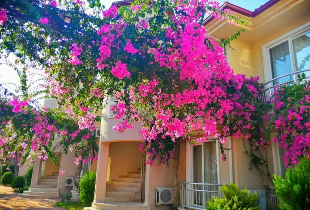 Apart Sunset Beach - Görsel 5