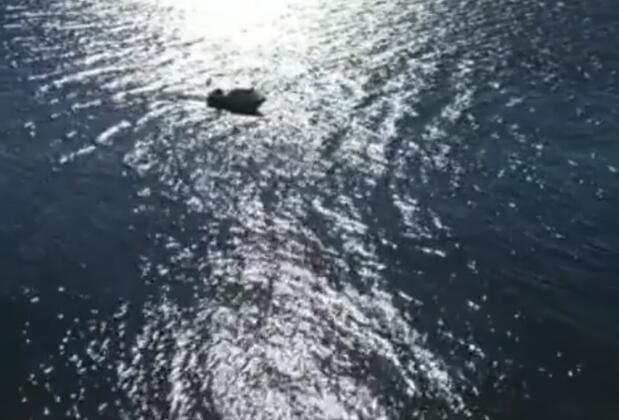 Kum Otel Avşa - Görsel 46