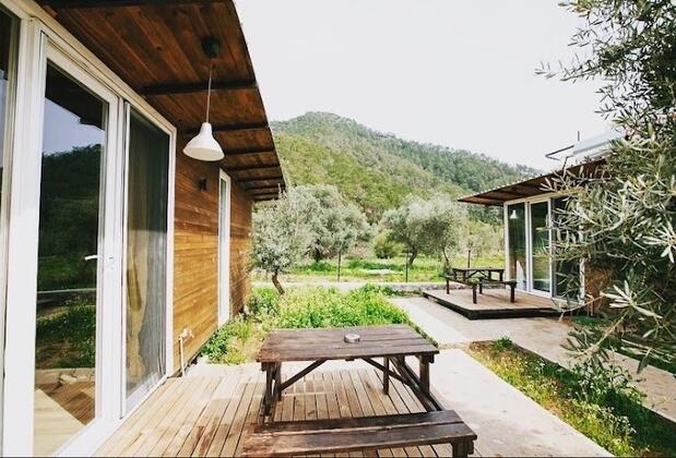 Circles Ekincik - Görsel 3