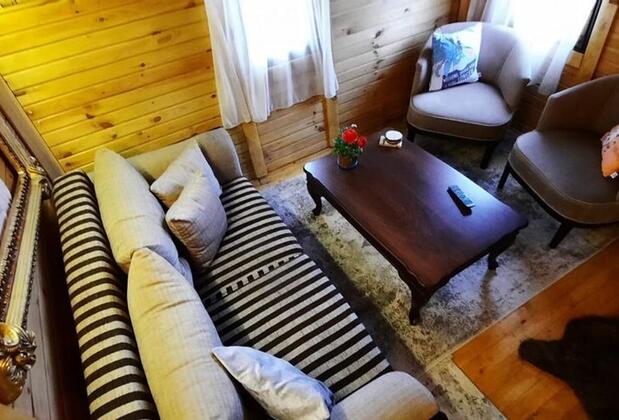 Mavi Hobbit Evi Sapanca - Görsel 4