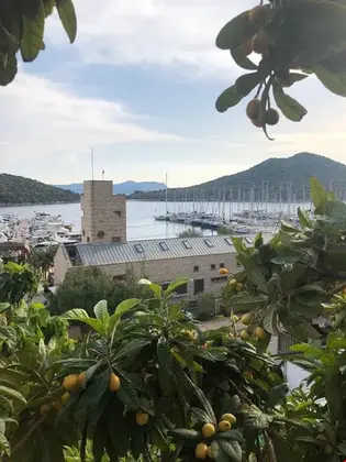 Arıkan Apart - Görsel 3