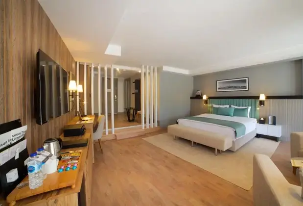 Istanbul New Airport Hotel, Trademark Collection By Wyndham - Görsel 3