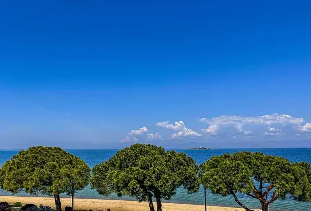 Grand Avşa Hotel - Görsel 7